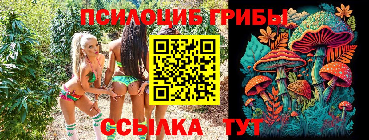 Псилоцибиновые грибы Psilocybe Озёры