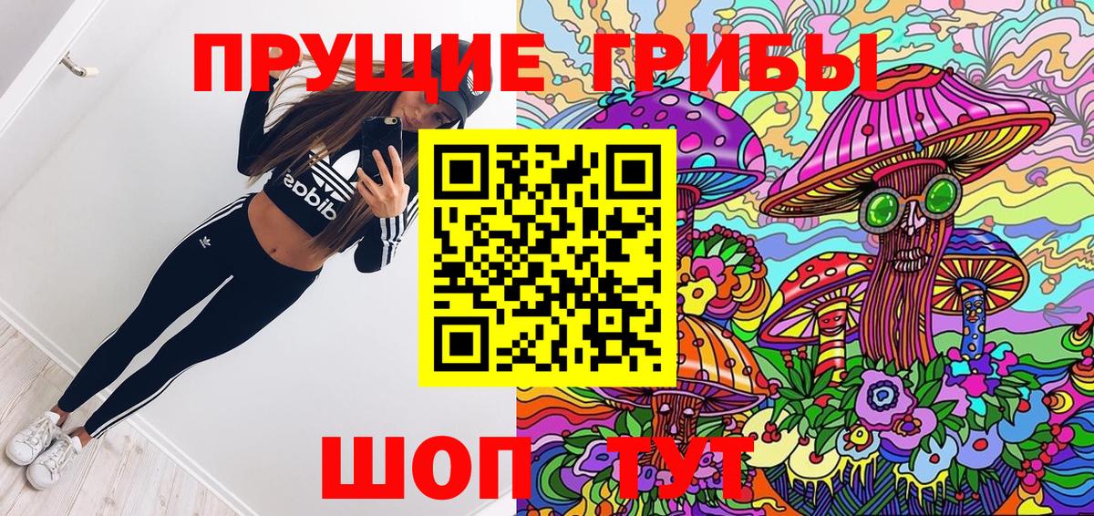 Псилоцибиновые грибы Psilocybe  Вход с VPN  Галлюциногенные грибы прущие грибы  Озёры 